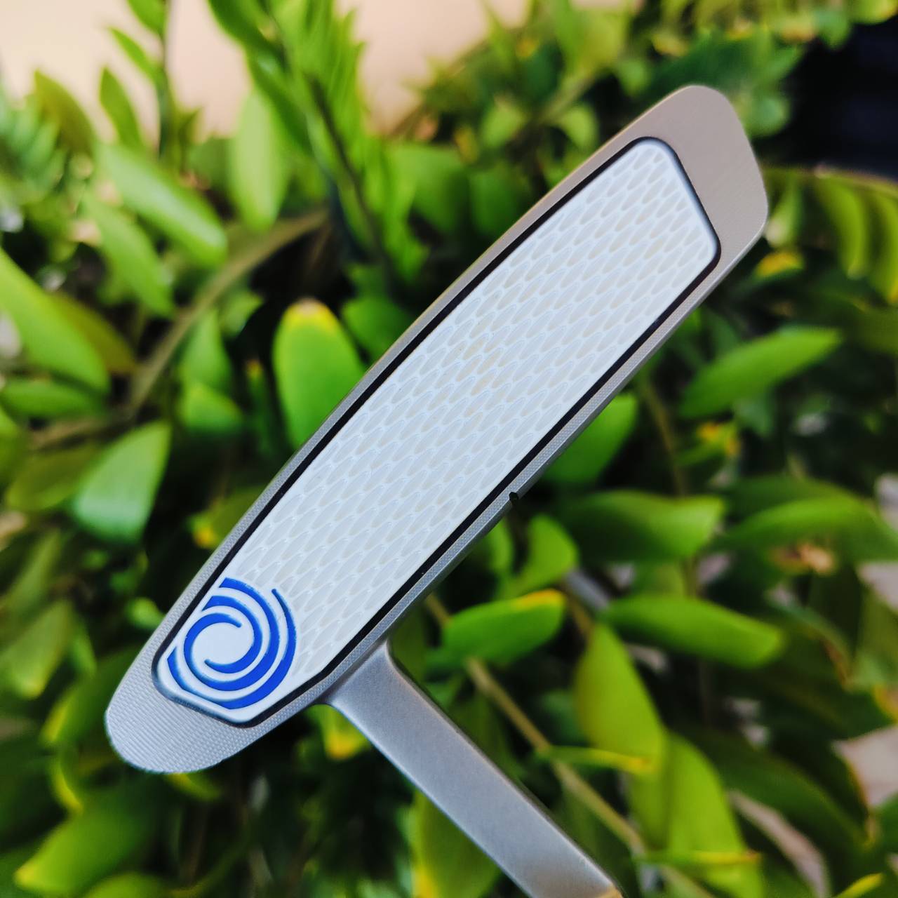 *กริพเสีย* PUTTER ODYSSEY WHITE HOT RX1 ความยาว 34 นิ้ว หน้าสัมผัสรุ่นนี้ดีมากๆ เกาะไลน์มาก ไม้กอล์ฟพรีเมี่ยมมือสอง ของแท้ By NakaraLuxurious