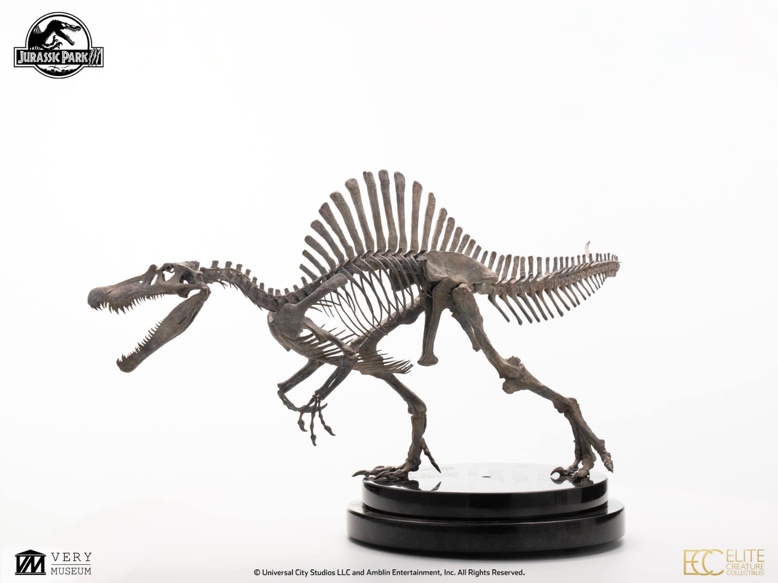 [สั่งจอง]ECC : Bronze Spinosaurus Skeleton (Jurassic Park III)