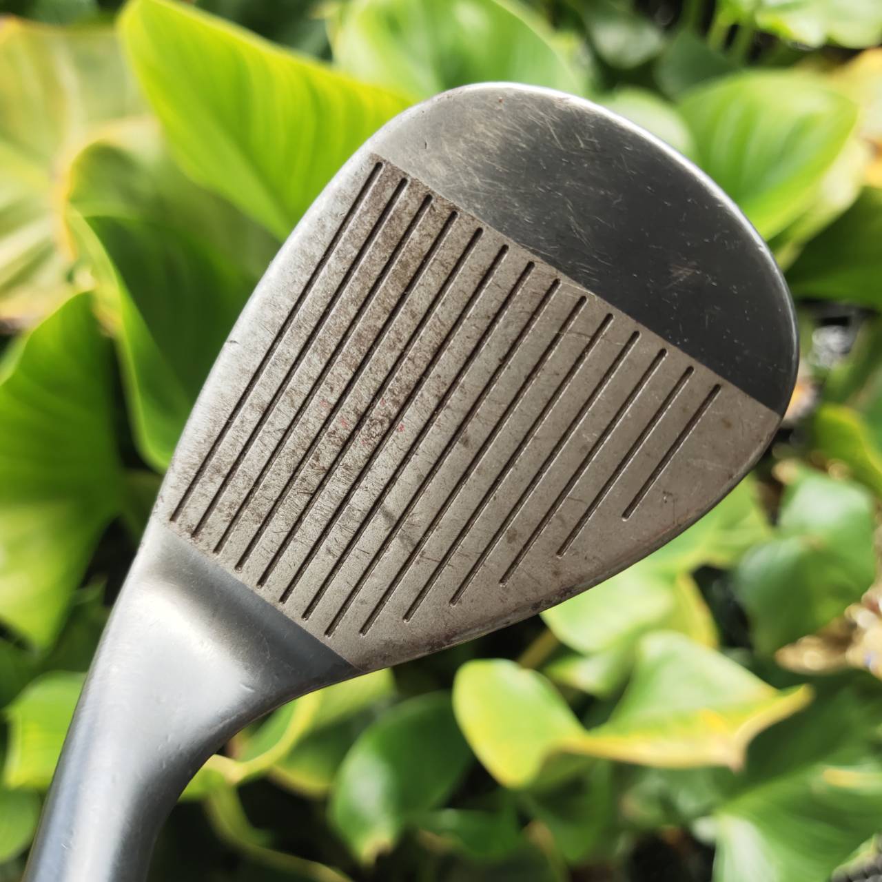 WEDGE CLEVELAND TOUR ACTION 900 Loft 56 FROM FORGED ให้ฟีลลิ่งนุ่ม แน่นทุกช็อต
