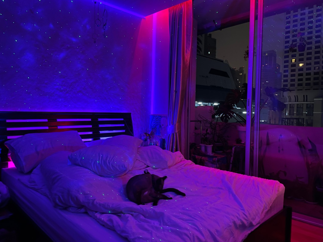 หลอดนีออนสีT8 กันน้ำหลอดงานวัด หลอดไฟงานวัด LED หลอดนีออนสี พร้อมปลั๊ก18W