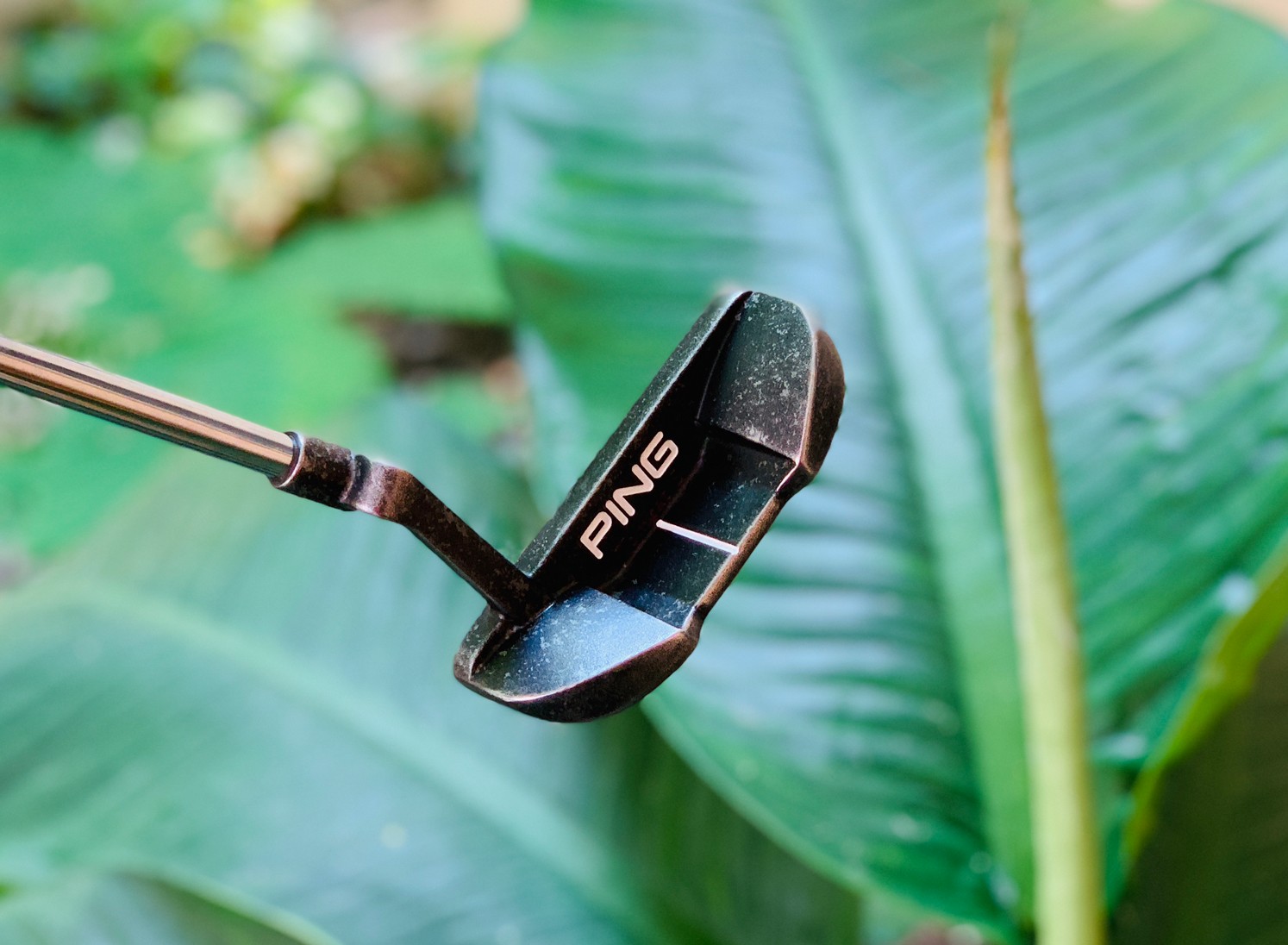 PUTTER PING SCOTTSDALE TOMCAT