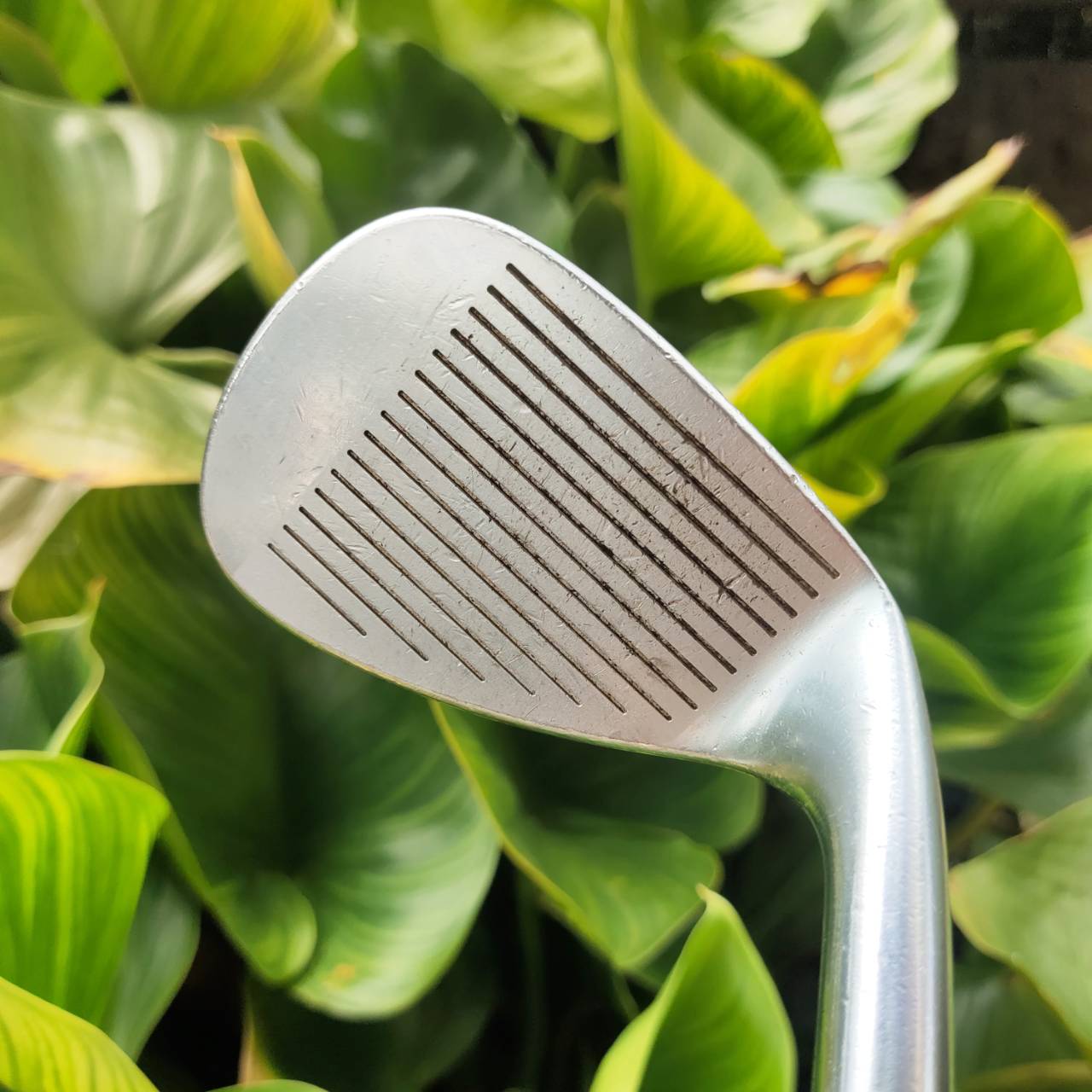 ** มือซ้าย WEDGE FOURTEEN MT28 V4 52° Bounce 8° FORGE JAPAN ฟีลลิ่งระดับเทพ JDM พันธุ์แท้ เป็นรุ่นที่ 4