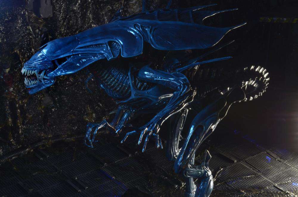 [สั่งจอง] Neca : Alien [Reissue]