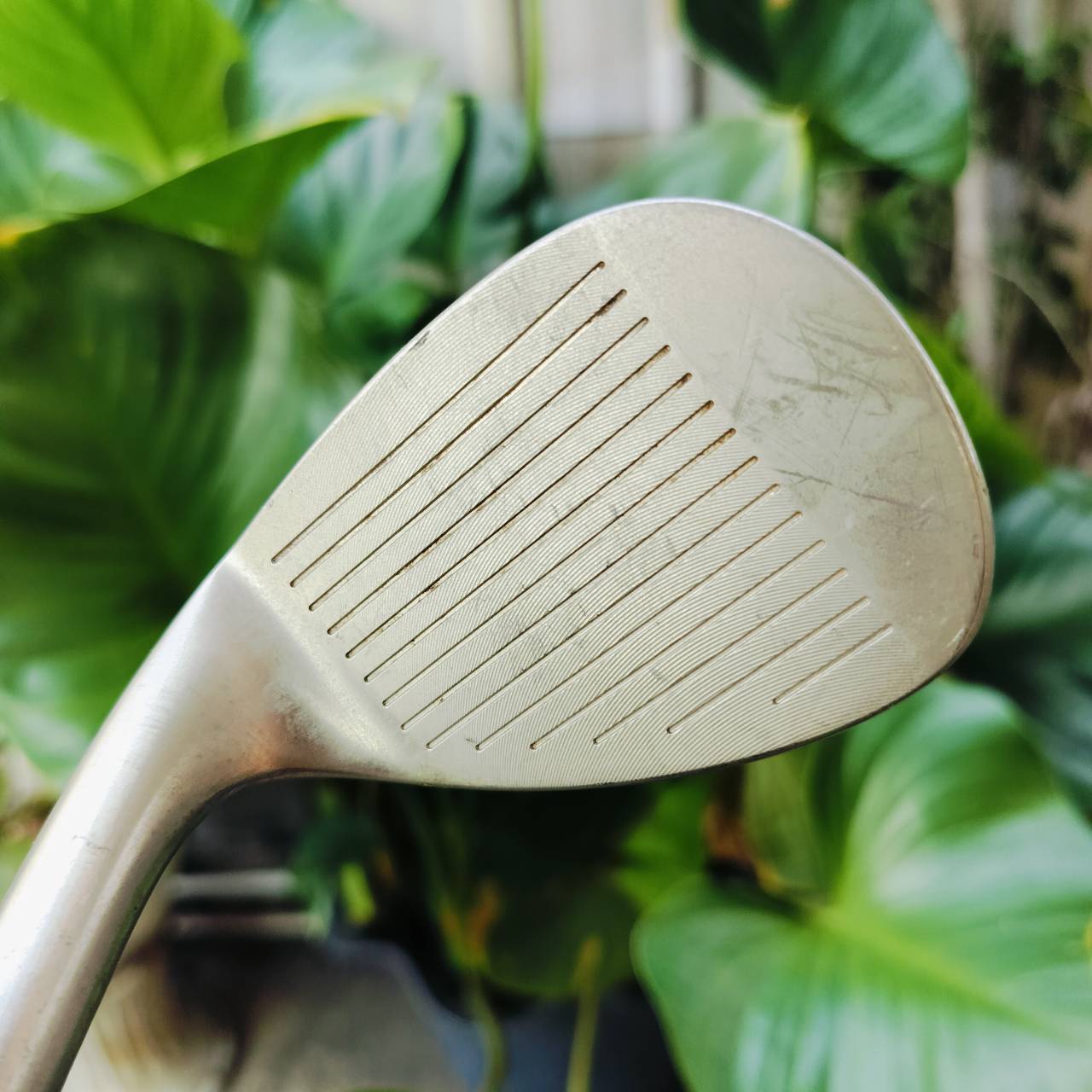 WEDGE SEVE BALLESTEROS ICON องศา 56 ก้านเหล็ก กริพ UST MAMIYA ออกแบบให้มีโพรง CAVITY ด้านหลัง ให้ขึ้นทรายได้อย่างง่ายดาย ตีผ่านได้ดี ไม้กอล์ฟพรีเมี่ยมมือสอง ของแท้ By NakaraLuxurious