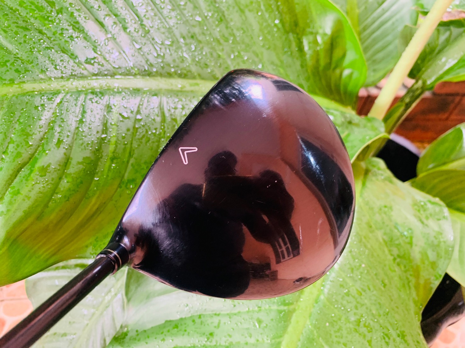 DRIVER1 CALLAWAY LEGACY