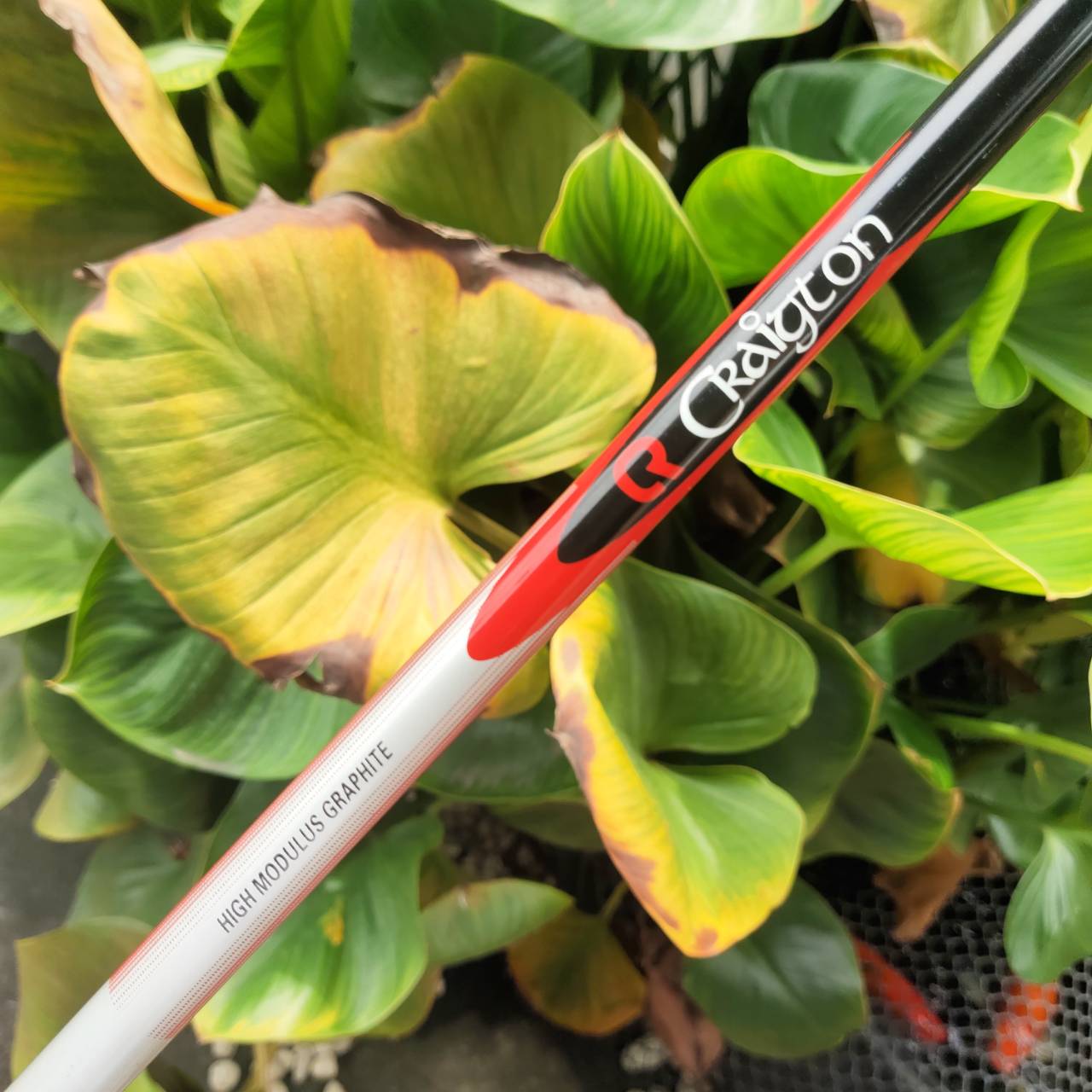 Driver CRAIGTON OF Scotland หัวเบต้าไทเทเนี่ยมแท้ ขนาด 460CC. หน้าสวีตสปอตใหญ่มาก ตีโดนง่าย+ไกล