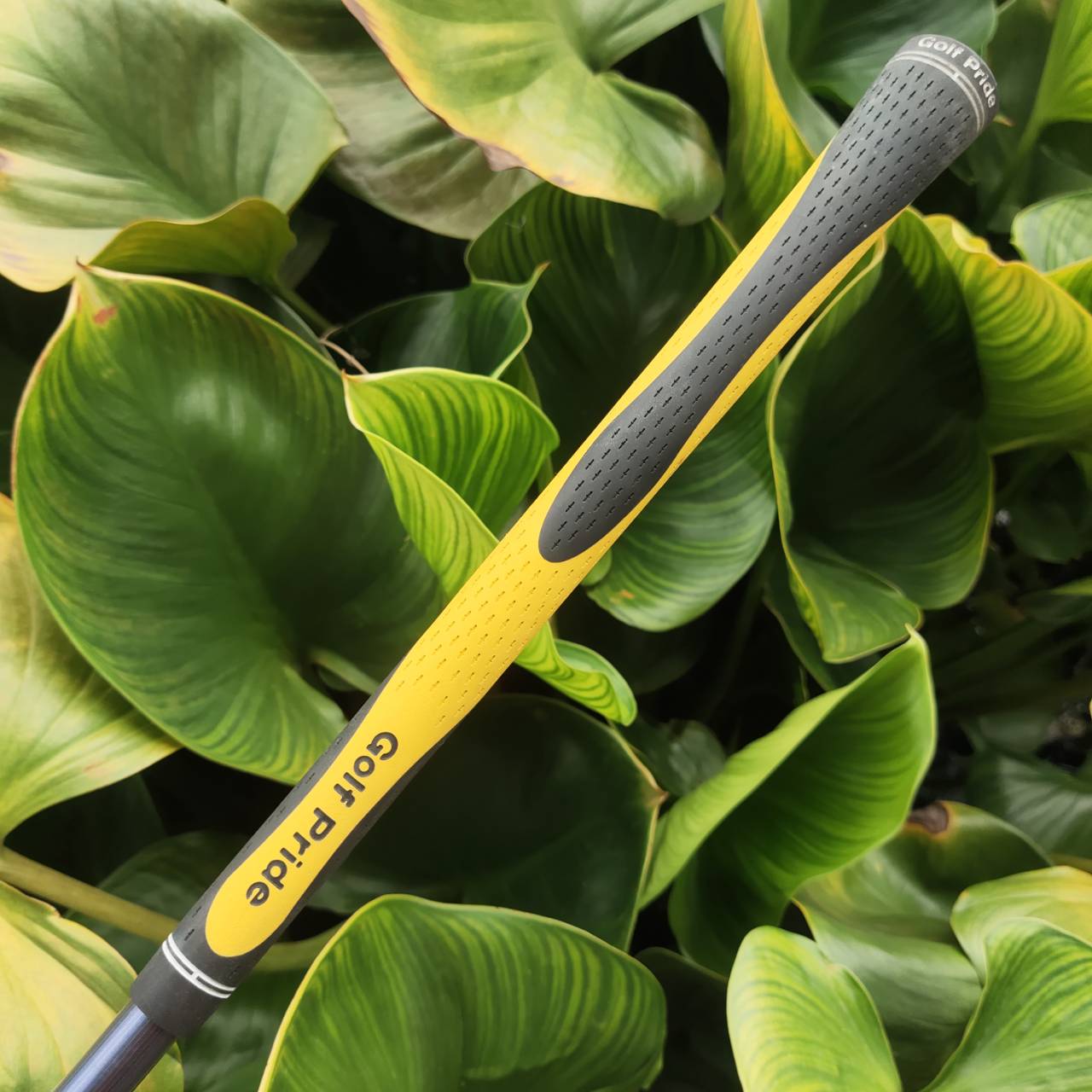 ชุดเหล็ก HONMA LB-208 NEW H&F รุ่นยอดนิยม HIRO HONMA ฟีลเด้ง เบา ตีง่าย! MADE IN JAPAN SAKATA