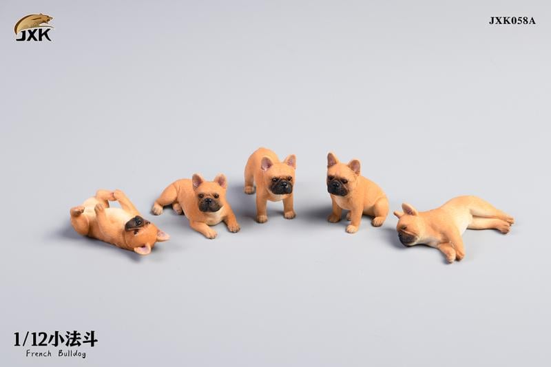 [สั่งจอง]JXK JXK058 1/12 : Mini French Bulldog