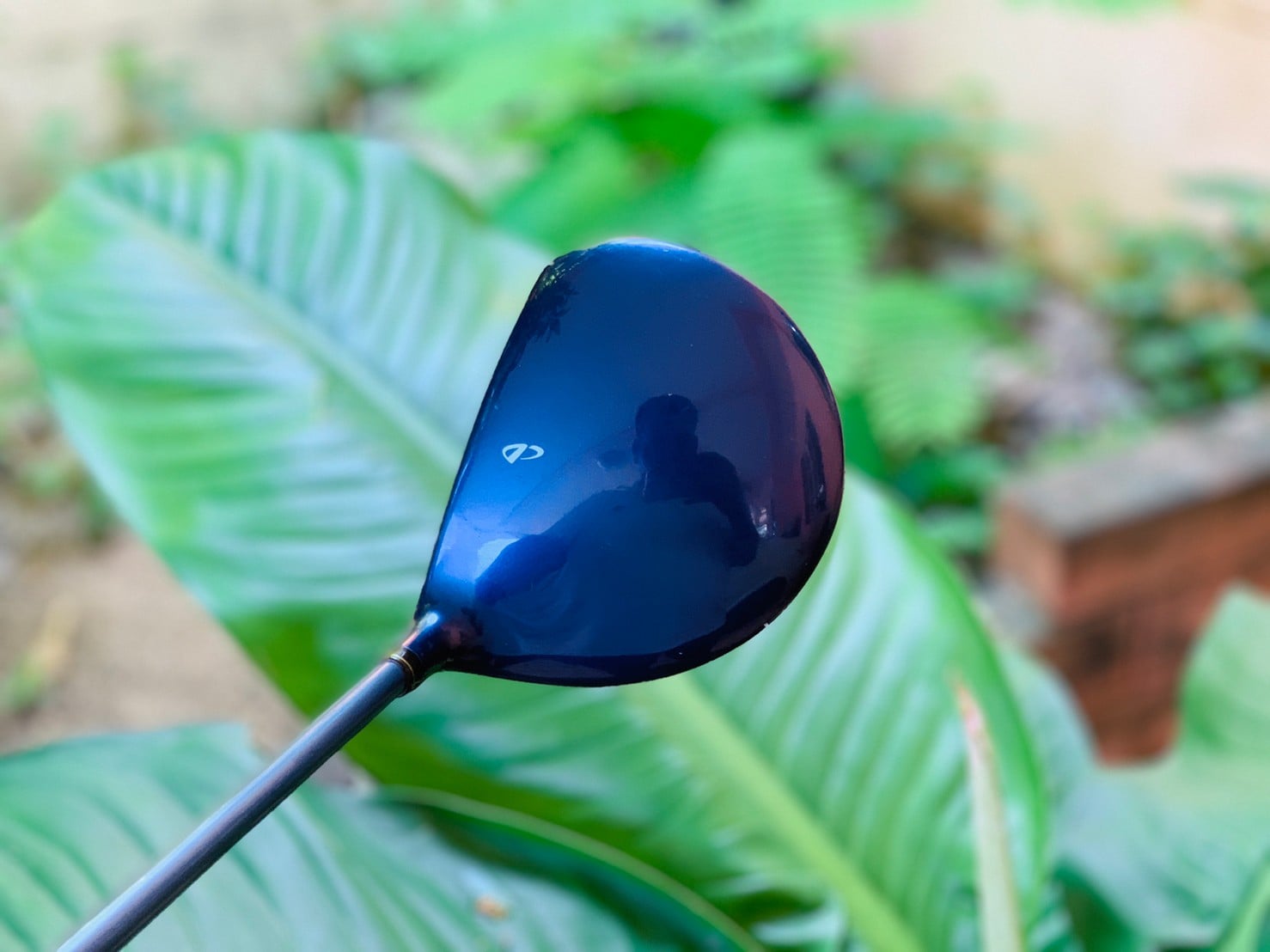 Driver Mizuno Model Presage Sophia