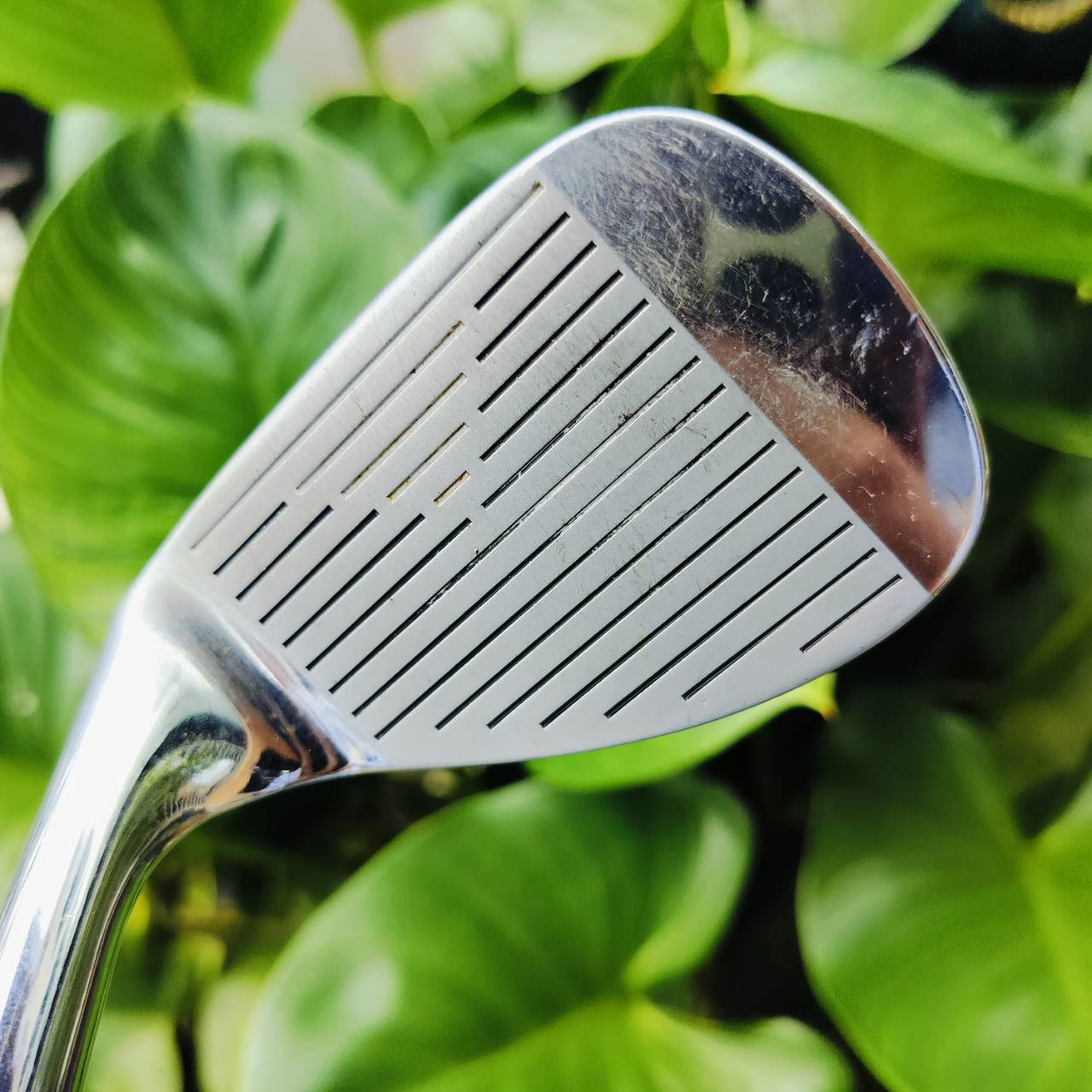 WEDGE WILSON STAFF RM องศา 56 BOUNCE 10 สปินดีมาก FULID FEEL สุดยอดฟีลลิ่ง เข้าบอลแน่น ตระกูล STAFF วัสดุพรีเมี่ยมไม่แพ้ใคร ไม้กอล์ฟพรีเมี่ยมมือสอง ของแท้ By NakaraLuxurious