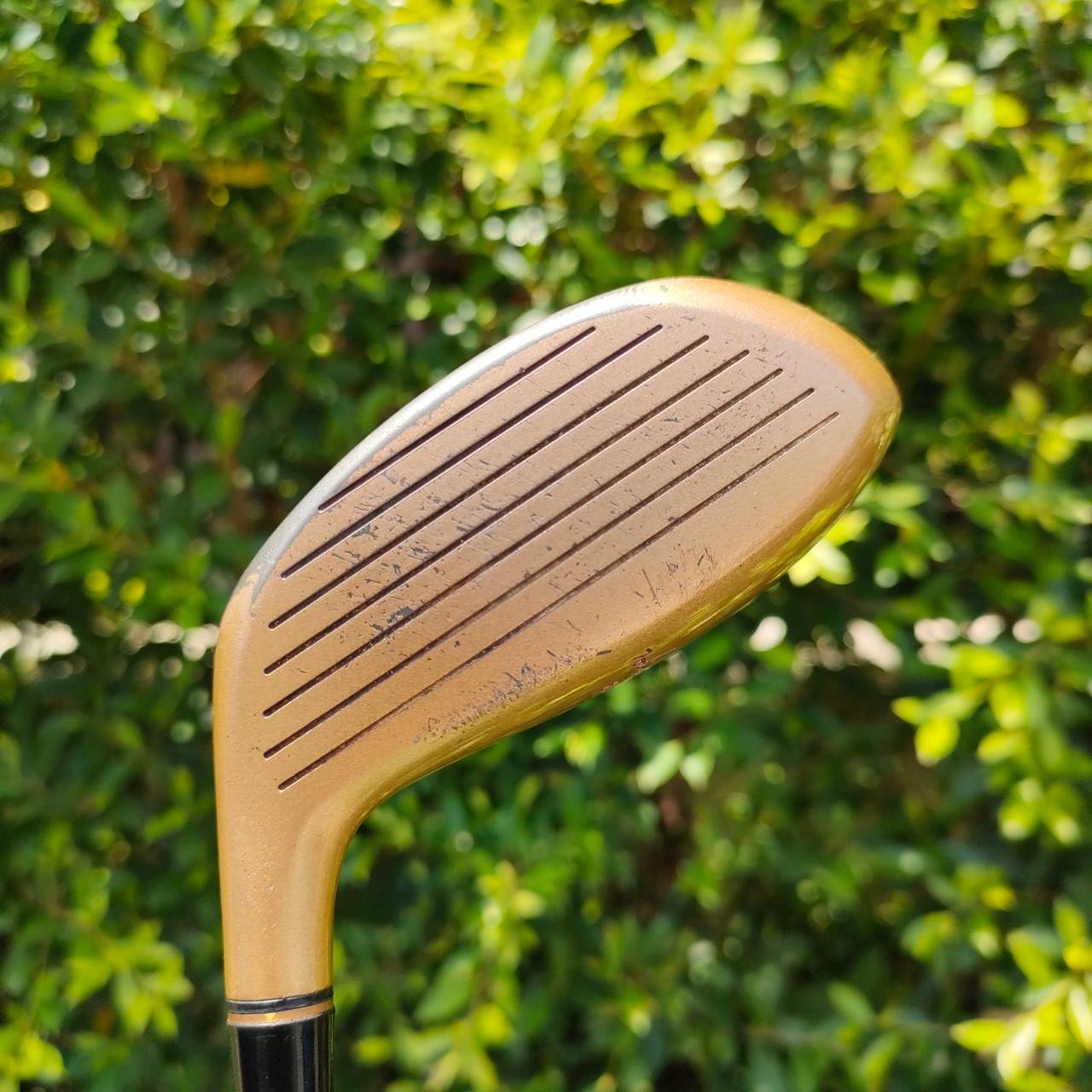 FW3 HONMA SUPER BIG -LB TITAMIUM ก้าน FEATHER WEIGHT FLEX R-1 ** ก้านระดับ 4 ดาว ** ตัวนี้เด็ดสุดๆคือเป็นก้านระดับ 4 ดาว ซื้อเอาเฉพาะก้านยังคุ้ม หัวไทเทเนี่ยมใหญ่ ตีดีมากๆ สุดหรูเลยครับ HIROHONMA เว็บสะสมต่างประเทศราคาหลักหมื่นขึ้นครับ