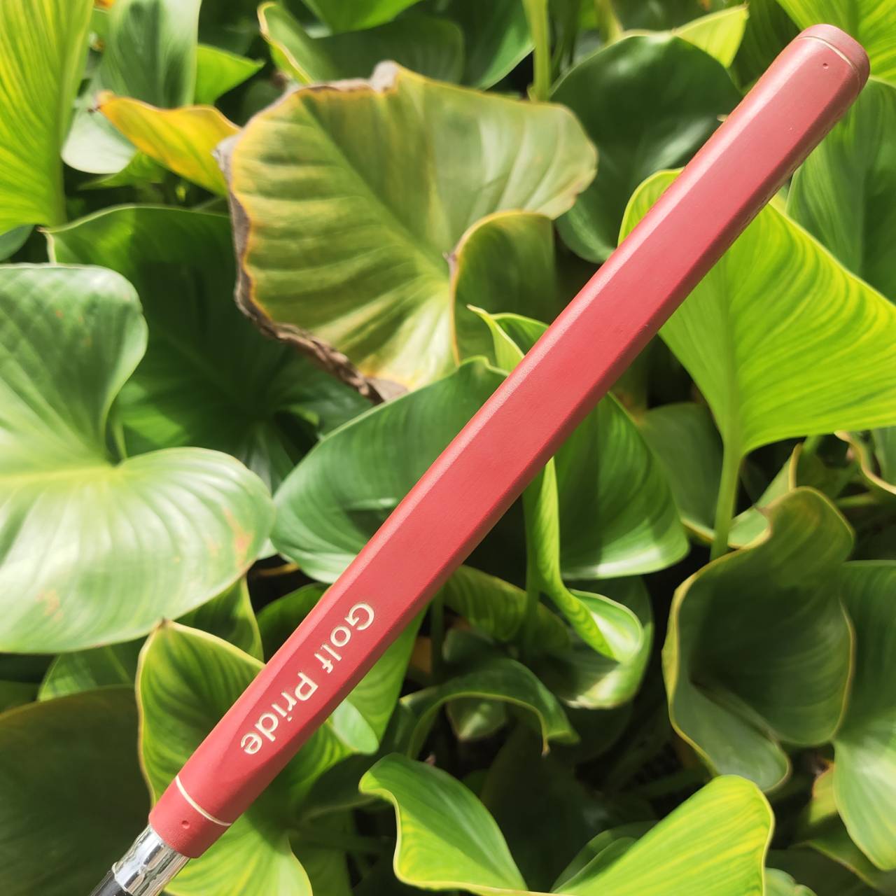 ของผู้หญิงหรือท่านที่ไม่สูงมาก ** 🏌️♂️ PUTTER NIKE IGNITE 003 – ความยาว 32 นิ้ว