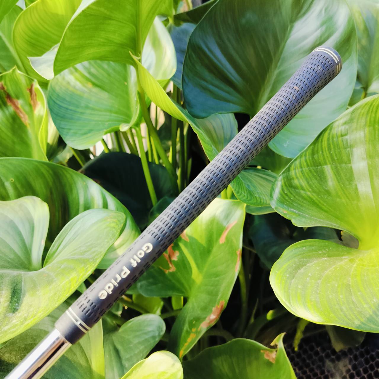 Cleveland Byron Nelson 50Th Becu Beryllium Copper RH Wedge 56° วัสดุทองแดงระดับพรีเมี่ยมสุดๆๆ หายากมากๆ ถ้าขัดขึ้นมาสวยจัดๆ ก้าน WEDGE FLEX ไม้กอล์ฟพรีเมี่ยมมือสอง ของแท้ By NakaraLuxurious