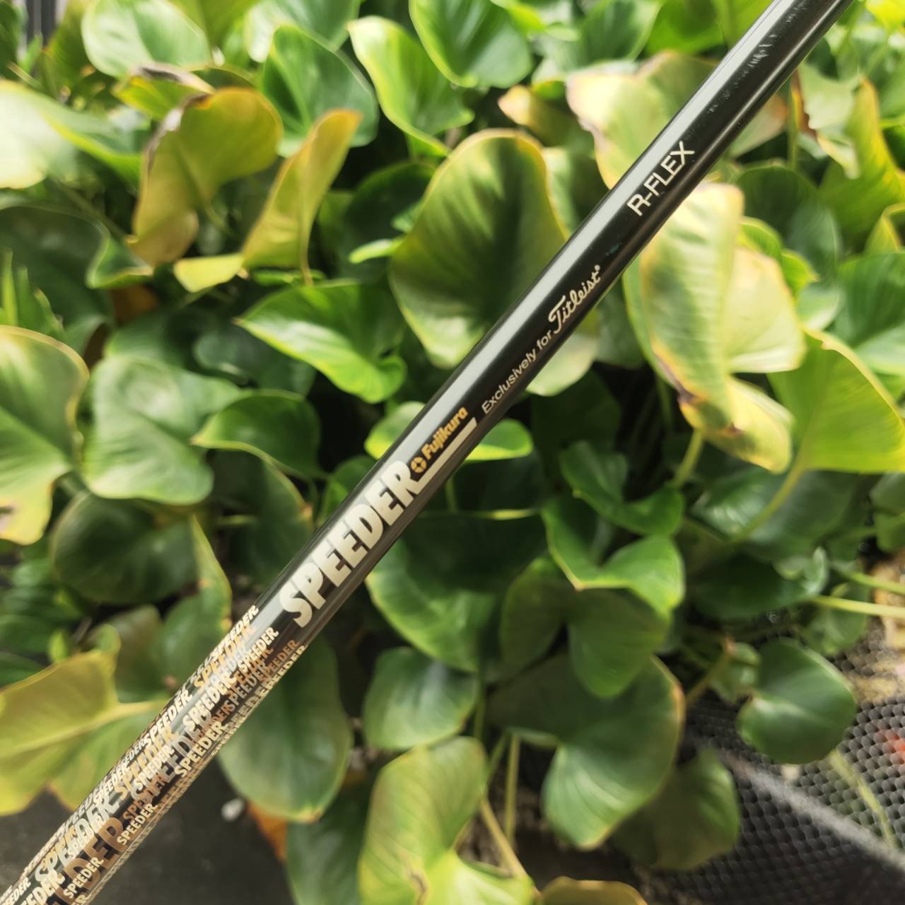 Driver Cleveland Hi-Bore กระดองปาด วาง CG ต่ำและลึก ช่วยให้ตีโดนง่าย ลูกออกเร็ว