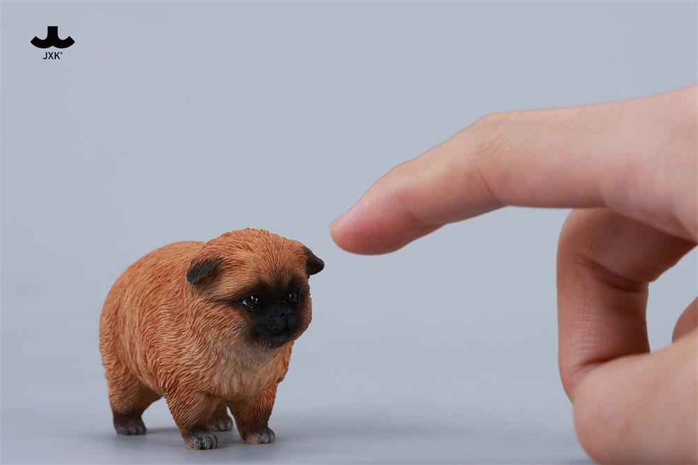 [สั่งจอง] JXK JXK271 1/6 : Dada the Yellow Pomerania