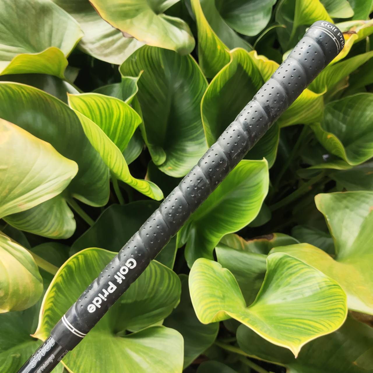 FW3 KASCO DIMPALS G-FOUR หน้าไม้ดีไซน์ทันสมัย พร้อมเทคโนโลยีช่วยให้ลูกลอยง่าย ระยะดีมาก