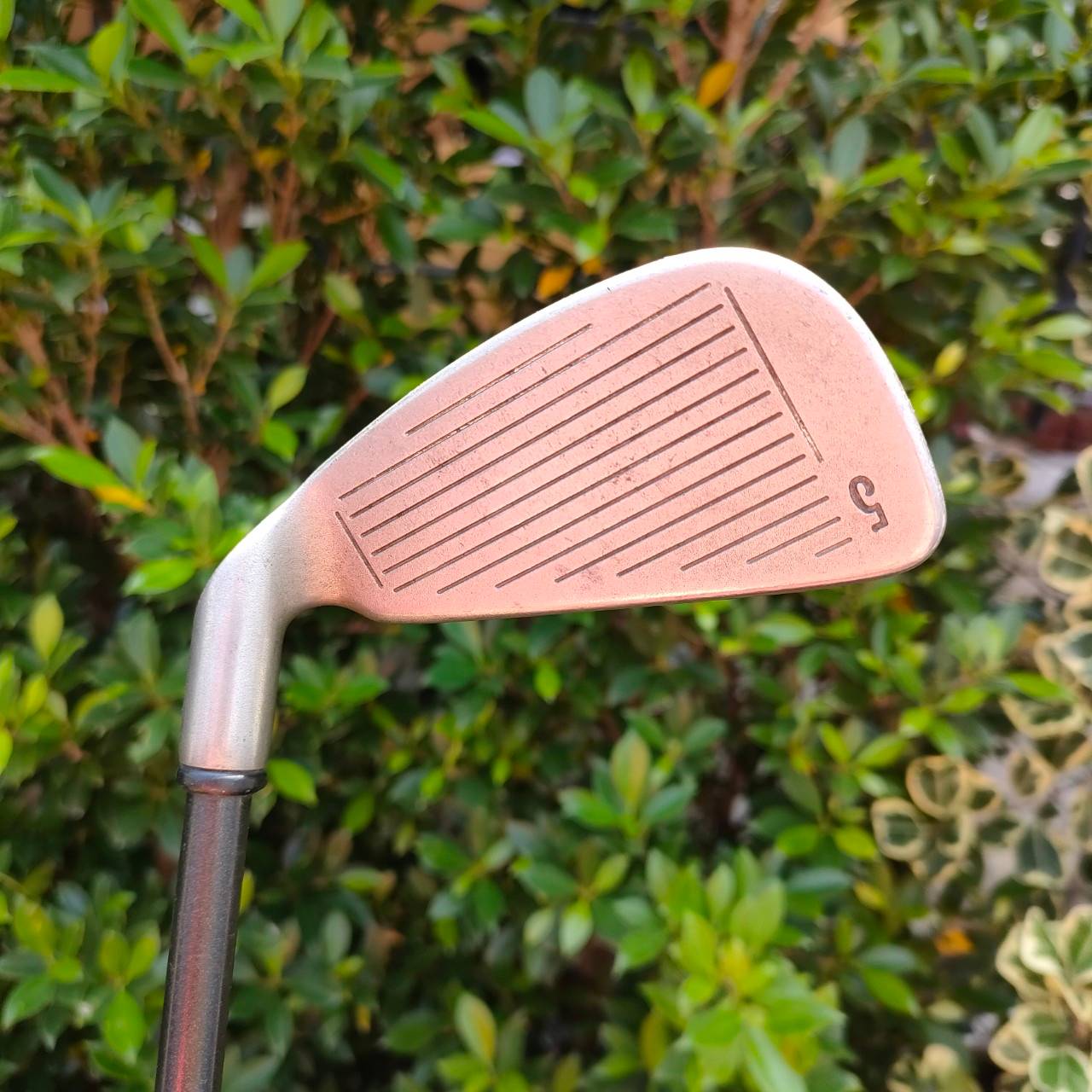 ชุดเหล็ก CALLAWAY BIG BERTHA มีเหล็ก 4 - 9 PW SW ก้าน RCH96 FLEX FIRM ชุดเหล็กยอดนิยมตลอดกาล