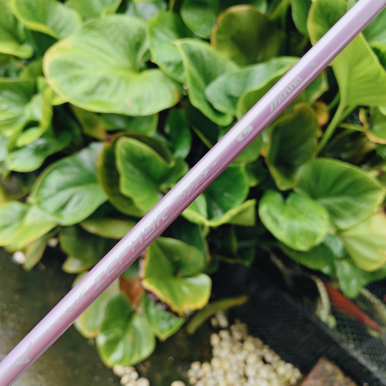 7W MIZUNO ZEPHYR – Each Gravity Design / Flex Lady 🌸