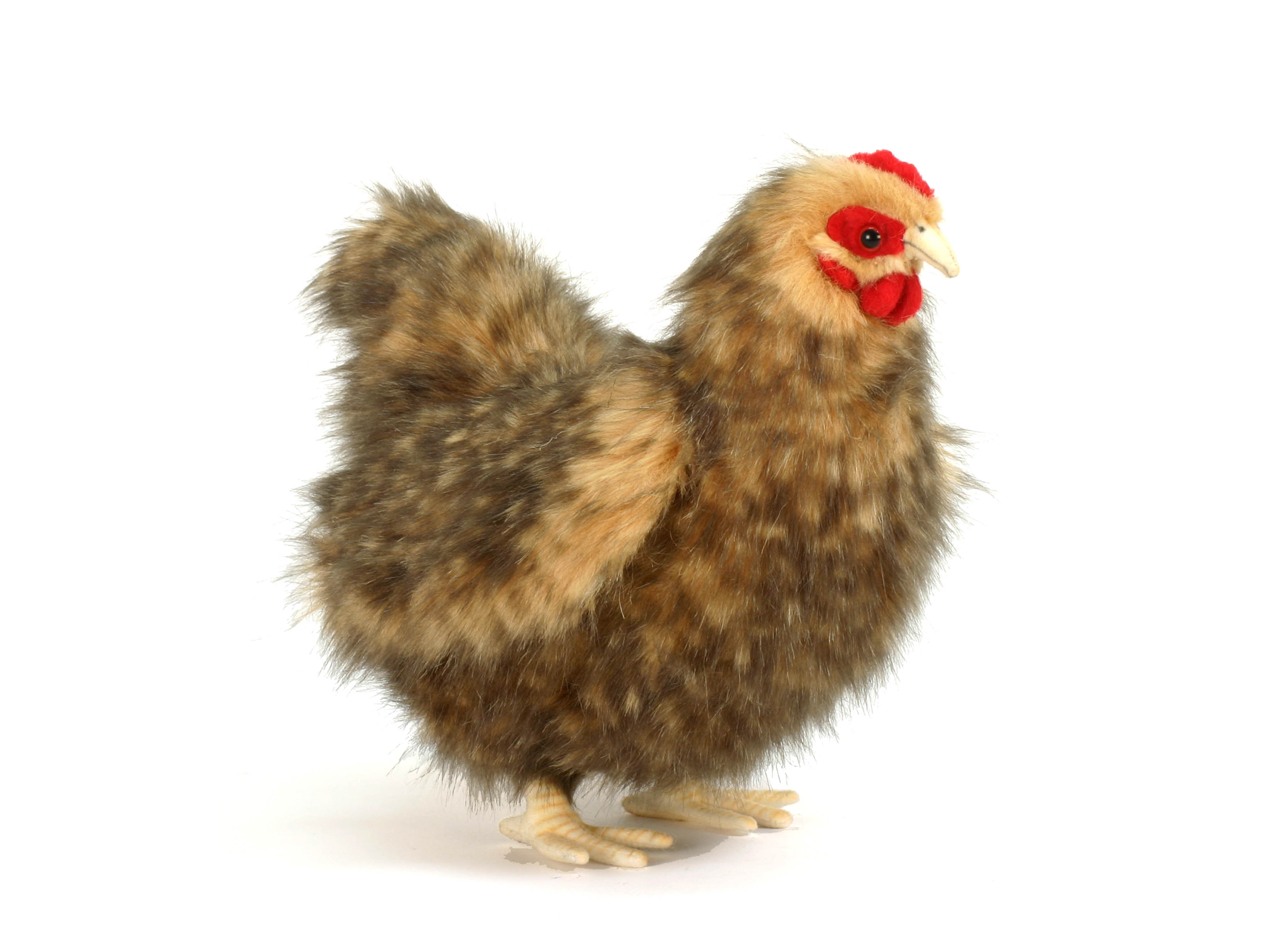 5621 Islander Hen 28 cm.L