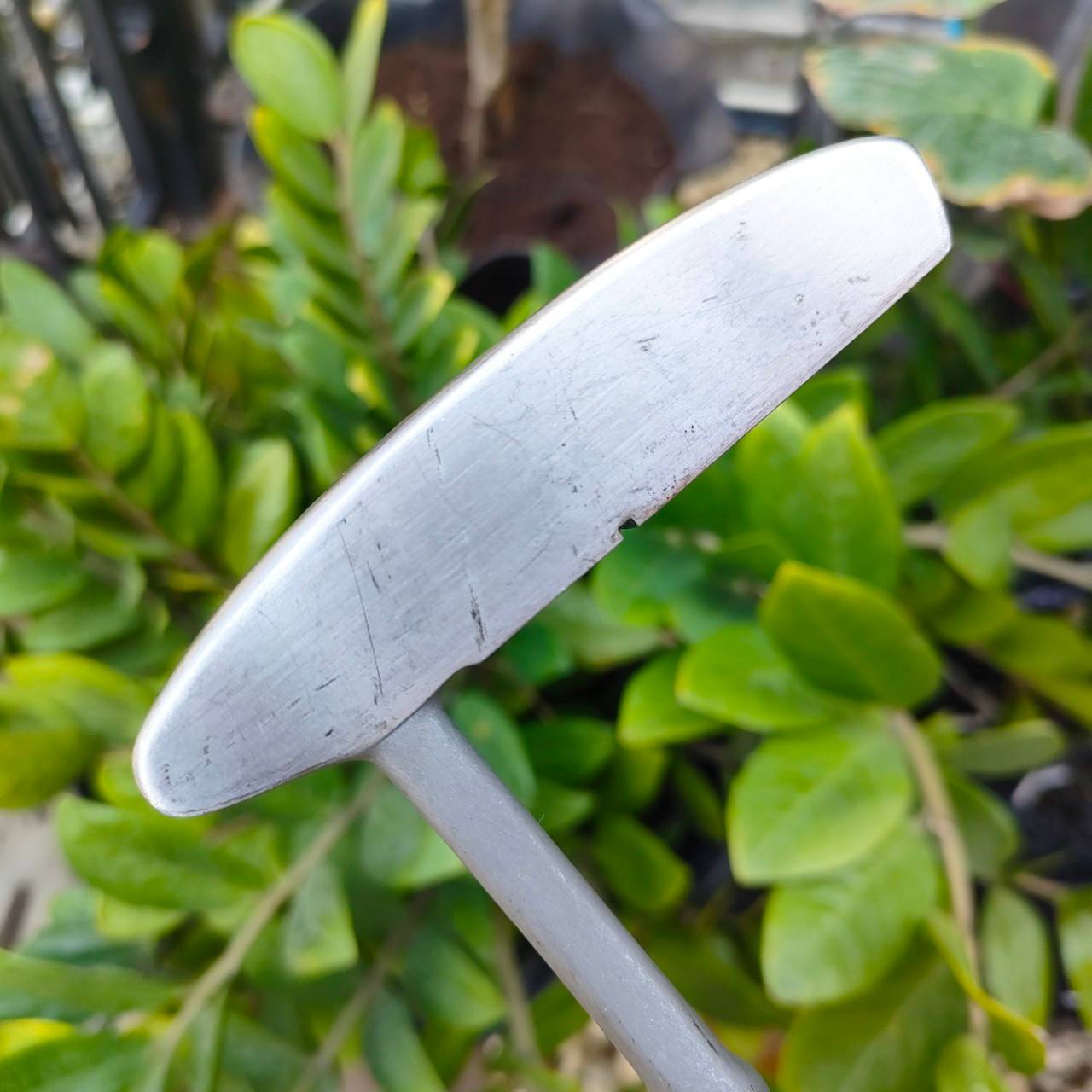 PUTTER LYNX NOUVELL ความยาว 33 นิ้ว สภาพสวย พัตต์ง่าย ทรงสแตนดาร์ด น้ำหนักดี มีเส้นเล็ง เอาใจ คนรักแบรนด์ LYNX โดยเฉพาะ ไม้กอล์ฟพรีเมี่ยมมือสอง By NakaraLuxurious