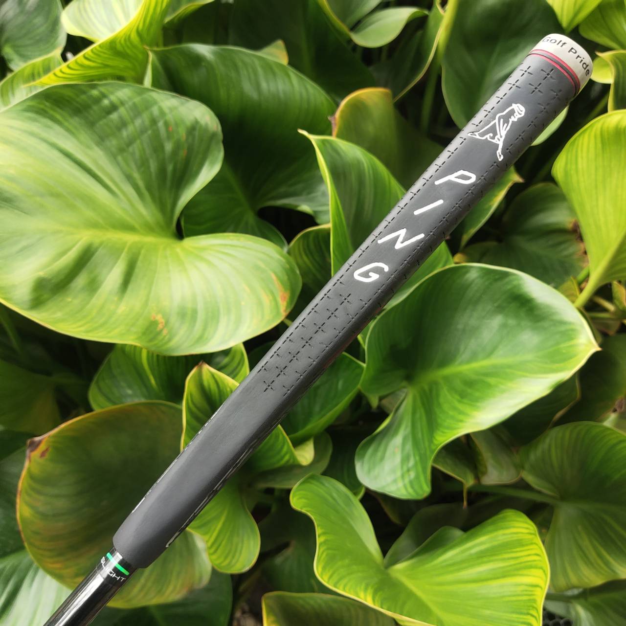 PUTTER PING OSLO H Face Insert แบบ Dual-durometer มีสองความหนาแน่น ชั้นบน (soft) ชั้นล่าง (firm)