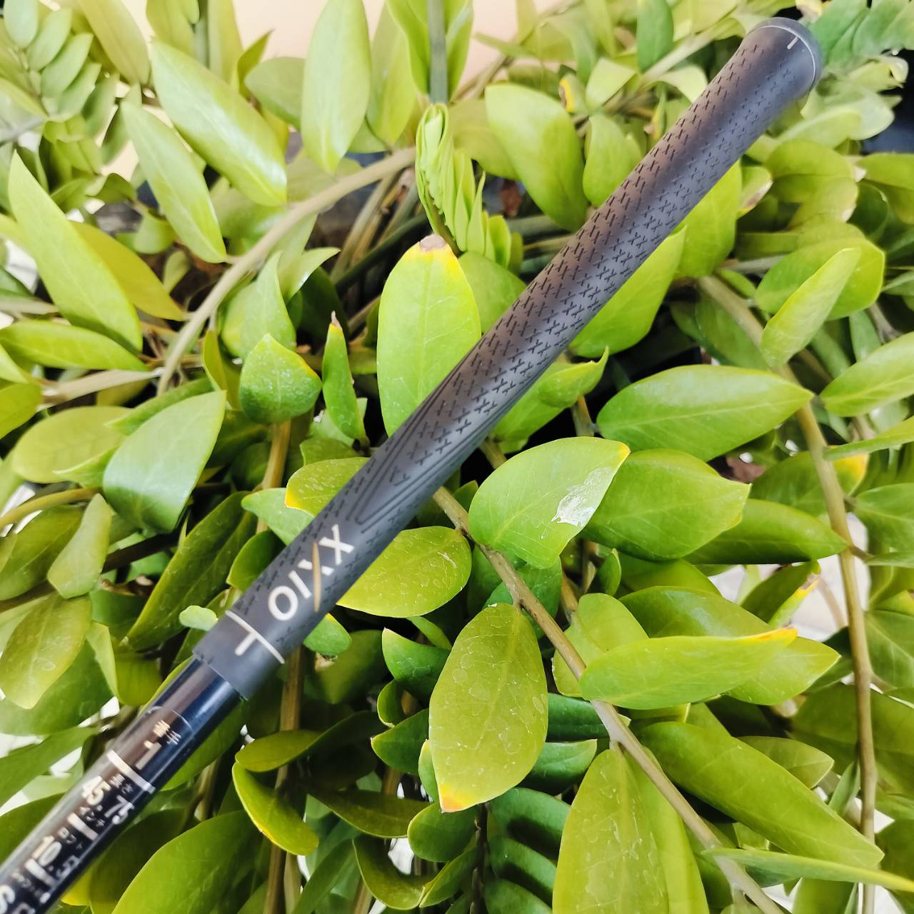Driver XXIO MP500 องศา 10.5 FLEX SR สภาพสวยเดิมทุกอย่างค่ะ Driver ยอดนิยมสูงสุดของญี่ปุ่น ไม้กอล์ฟพรีเมี่ยมมือสอง ของแท้ By NakaraLuxurious