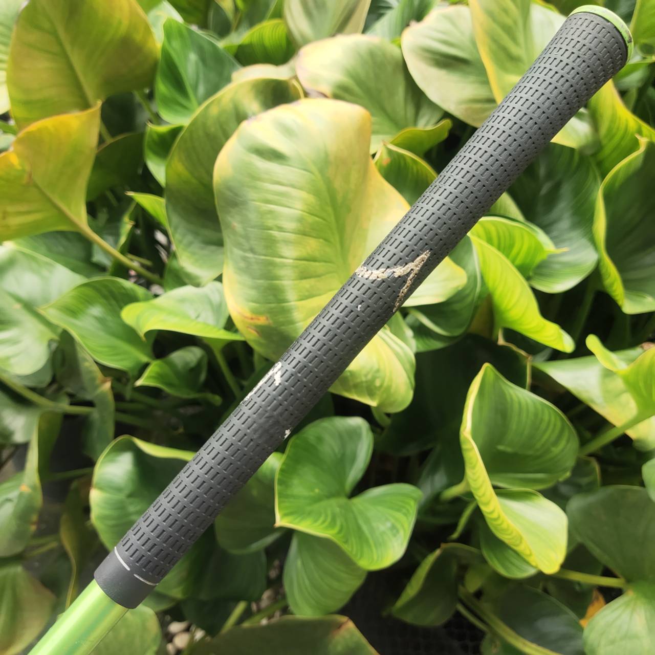 DRIVER TAYLORMADE RBZ องศา 10.5หัวขาว หน้าดำ หน้ากว้างมาก หัวใหญ่ ตีไกลมาก