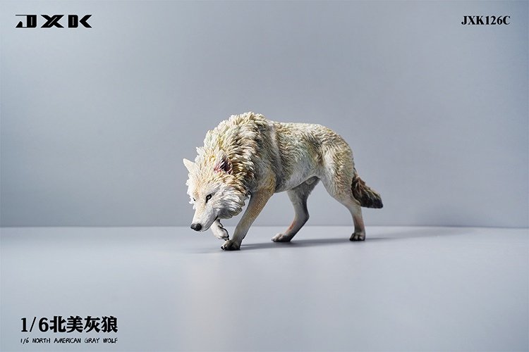 [สั่งจอง]JXK JXK126 1/6 : North American Grey Wolf