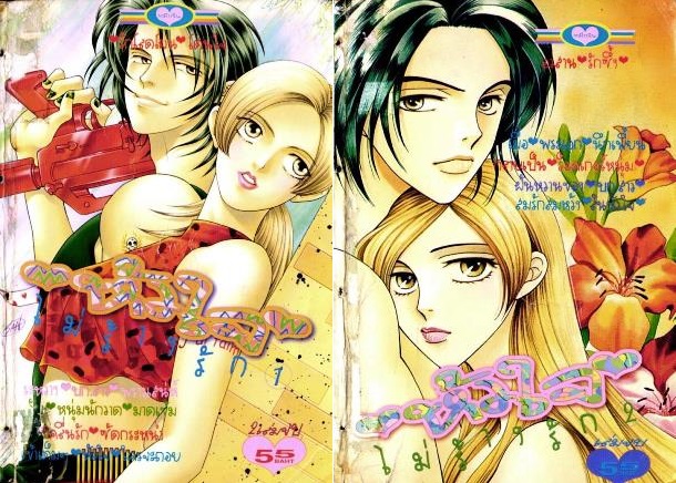 หัวใจไม่ร้างรัก 2 เล่มจบ