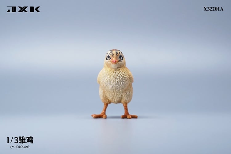 [สั่งจอง]JXK : Scottish Fold/Chckling/Duckling