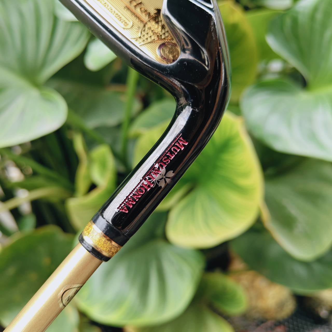 MUTSUMI HONMA PREMIUM MH606 (Iron 4α) – พลังแห่งความนุ่มที่ซ่อนอยู่ในดีไซน์ระดับพรีเมียม