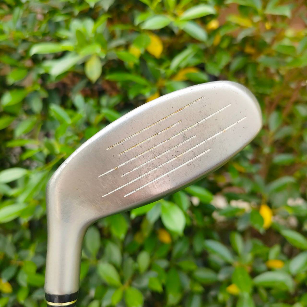 HYBRID 5 SRIXON AD W-NI-WT องศา 24 ก้าน SV-3000 FLEX R คุณภาพพรีเมี่ยมจากญี่ปุ่น