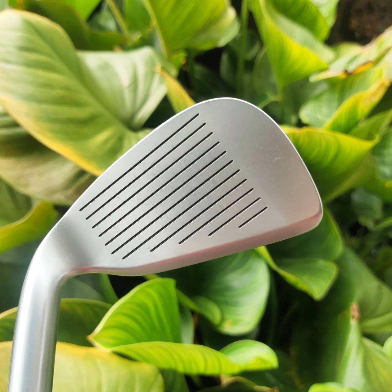 ชุดเหล็ก HONMA LB-208 NEW H&F รุ่นยอดนิยม HIRO HONMA ฟีลเด้ง เบา ตีง่าย! MADE IN JAPAN SAKATA