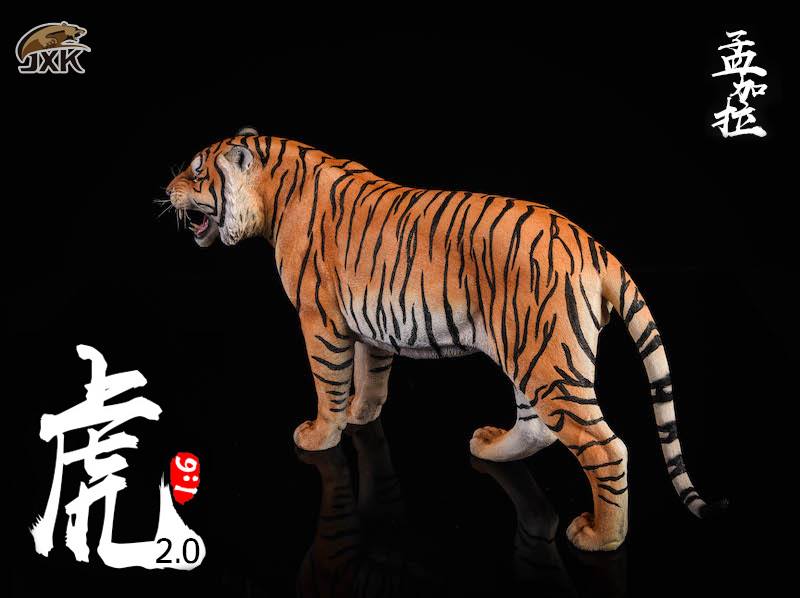 [สั่งจอง]JXK.Studio 1/6 JXK020A yellow Bengal tiger & JXK020B white Bengal tiger