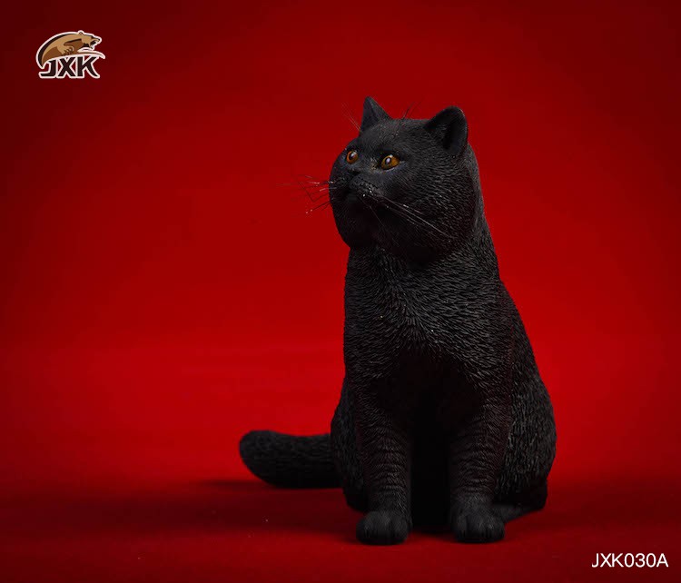 [สั่งจอง] JxK.Studio 1/6 Jxk029/ Jxk030 A/B/C/D -Ragdoll / British Shorthair Cat