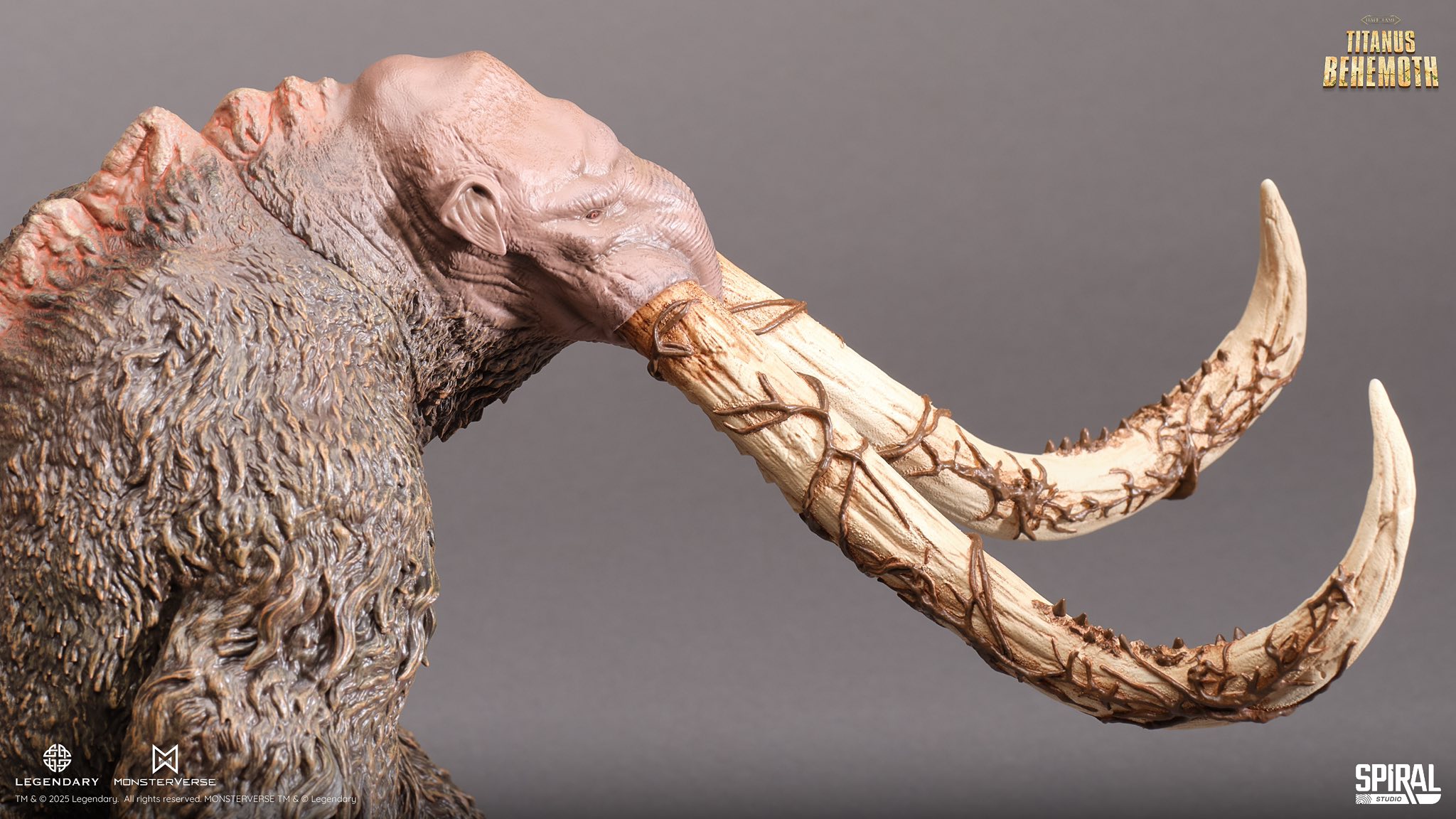 [สั่งจอง]Spiral Studio : Hall of Fame