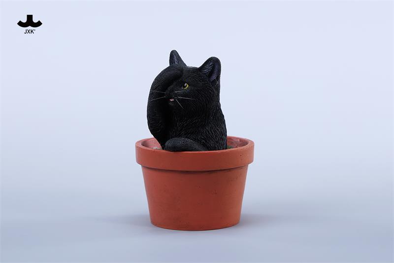 [สั่งจอง] JXK Blossom Paws