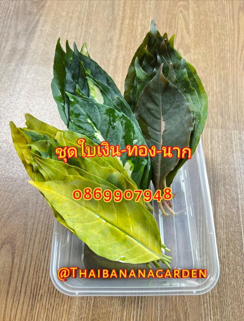 ใบไม้มงคล (พิธี)