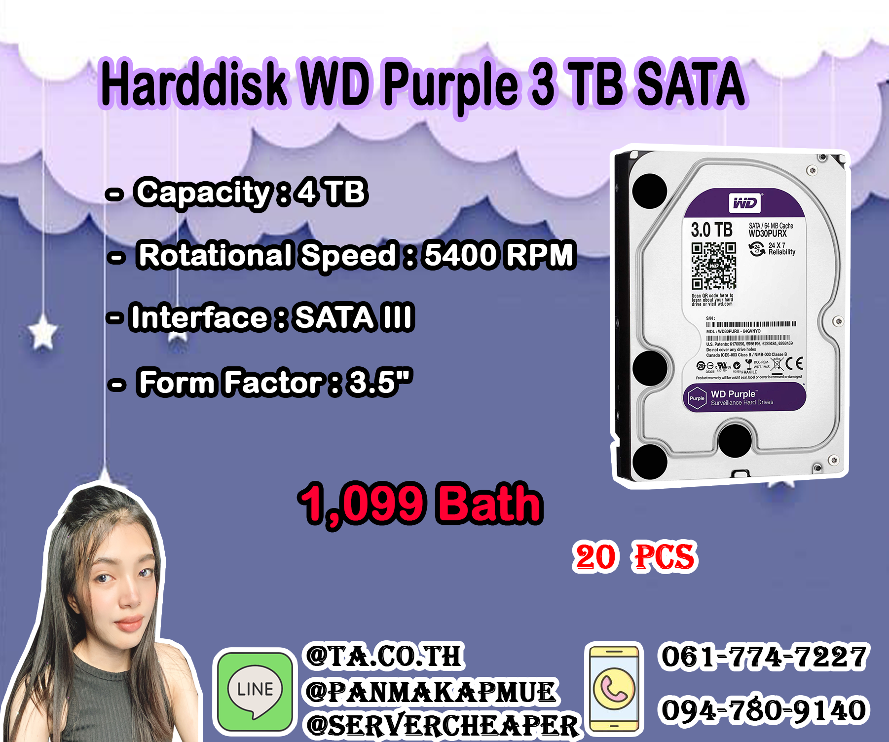 Harddisk WD Purple 3TB 64MB.,WD30PURZ