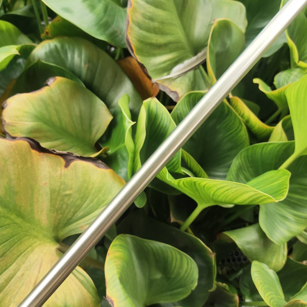 Driver PING G10 องศา 9° ไดรเวอร์สายเน้นระยะ ไว้ใจได้ทุกช็อต! หน้าไม้ไทเทเนียมแข็งแรง