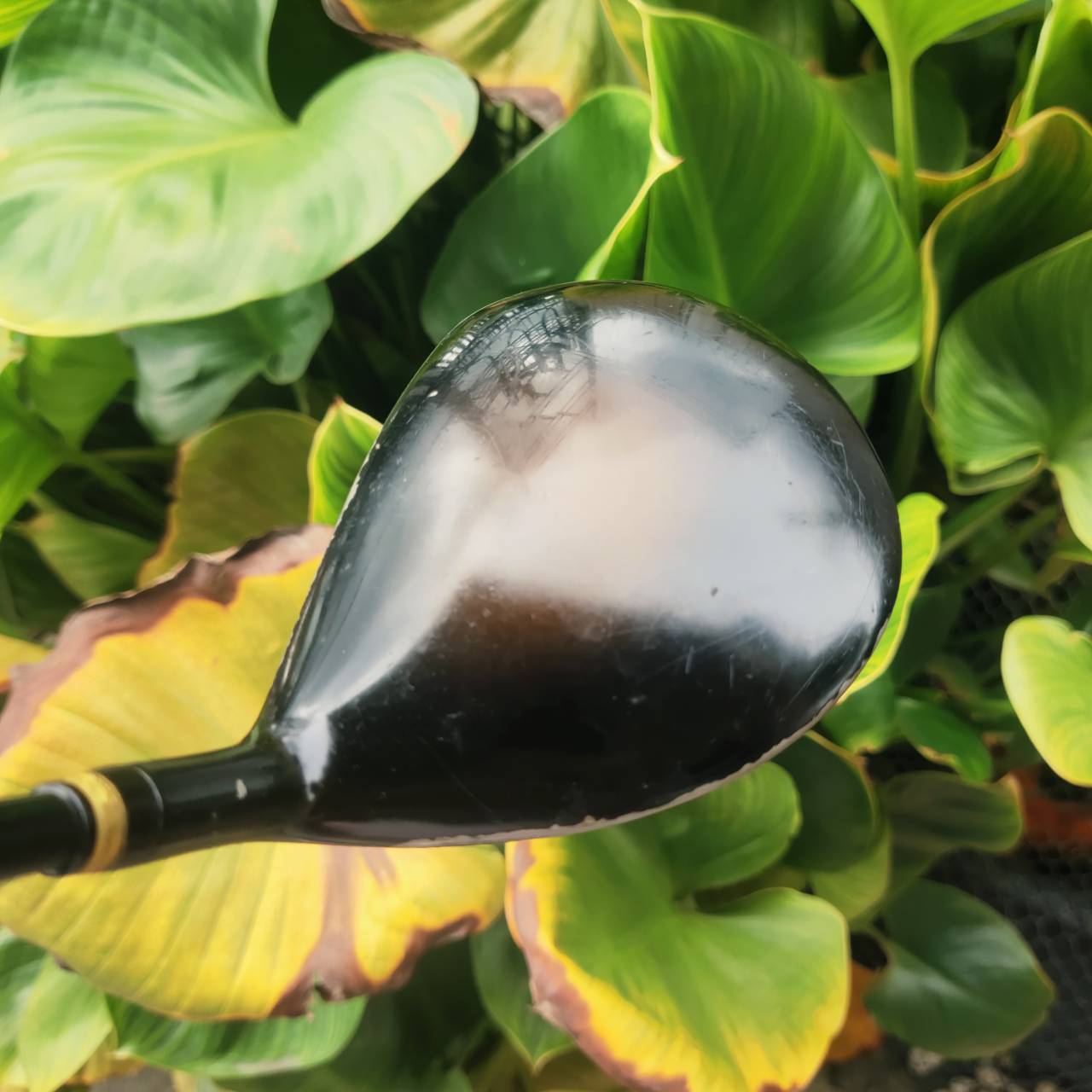 3W VOLTIO สีทอง หรูจัด ตีไกลสุด ๆ เหมาะสำหรับท่านที่สปีดน้อย ต้องการเพิ่มระยะ