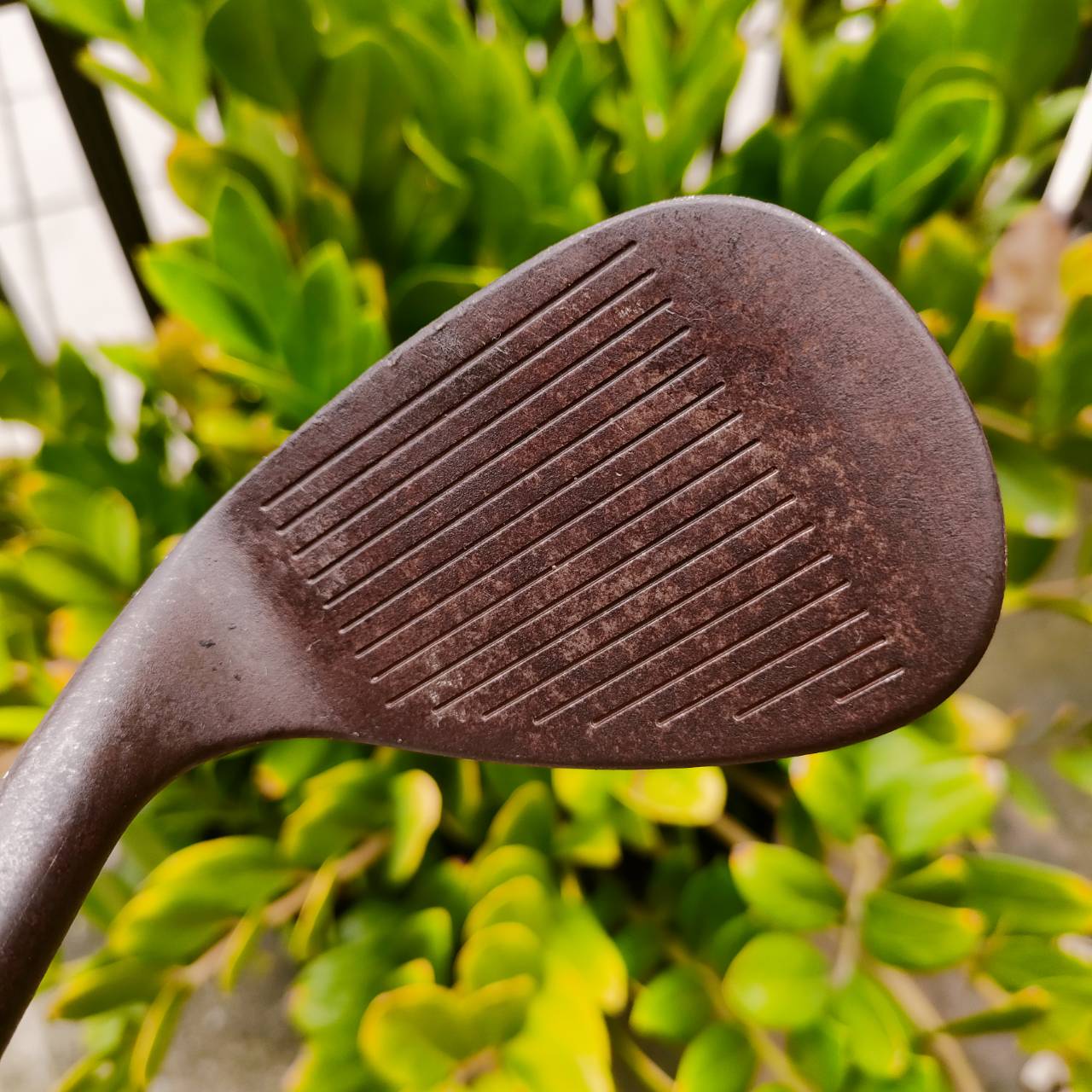 WEDGE Titleist Vokey รุ่นสนิม องศา 56 BOUNCE 12 วัสดุสุดนุ่ม สุดพรีเมี่ยมไม่เคลือบ OIL CAN 8620 รุ่นสนิมแท้ ไม้กอล์ฟพรีเมี่ยมมือสอง ของแท้ By NakaraLuxurious