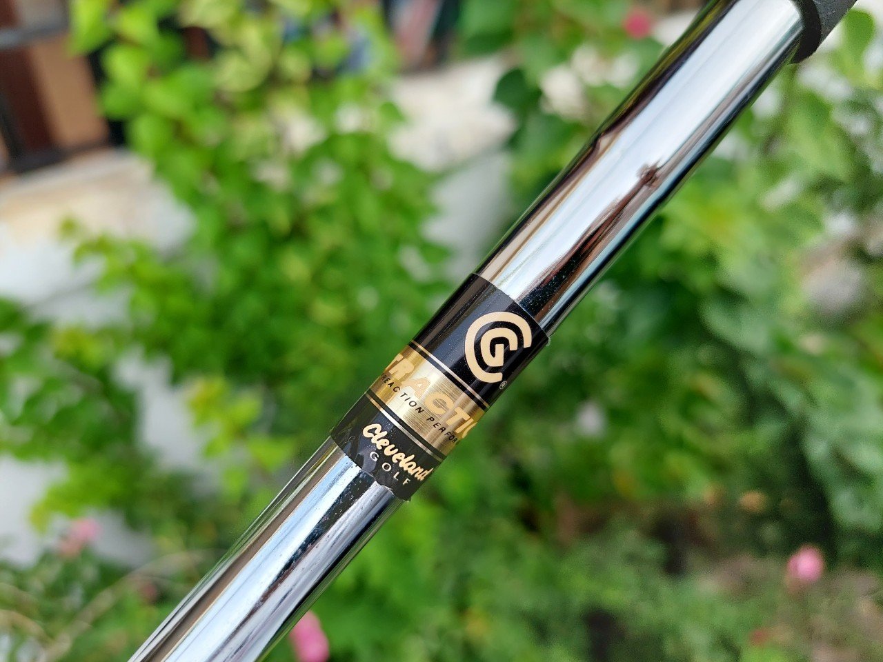 WEDGE CLEVELAND Cg17