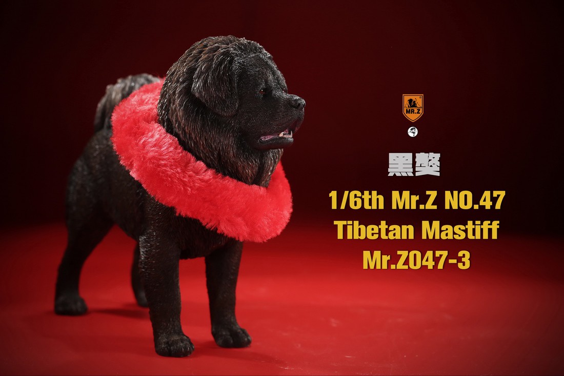 [สั่งจอง] MR. Z Animal Model MRZ047 1/6th Tibetan Mastiff