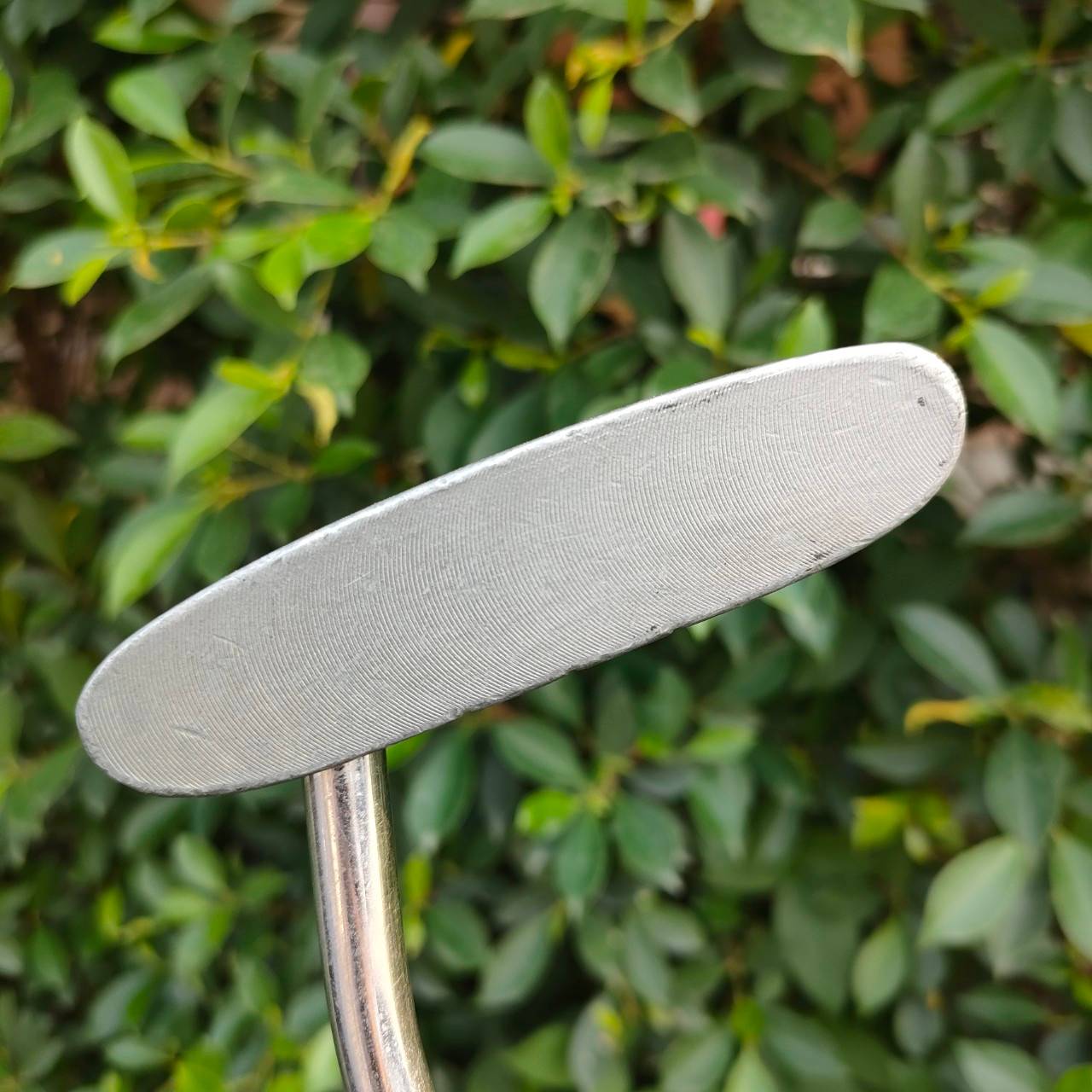 PUTTER mallet หน้า MILLED เกาะไลน์ ชดเชยสูง น่าใช้มาก ความยาว 34 นิ้ว กริพ IOMIC แค่ราคากริพก็เกินแล้ว