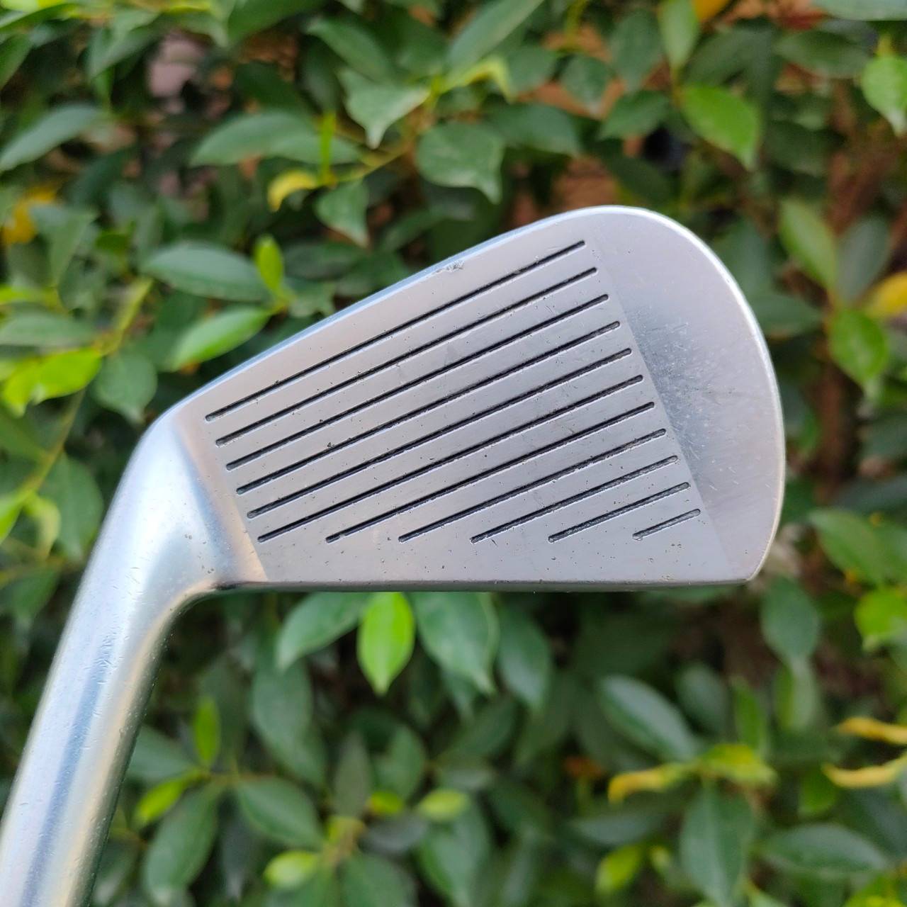 เหล็ก 5 MIZUNO PRO MS-701 ก้าน DYNAMIC GOLD S400 เหล็ก FORGED JAPAN แท้ๆ