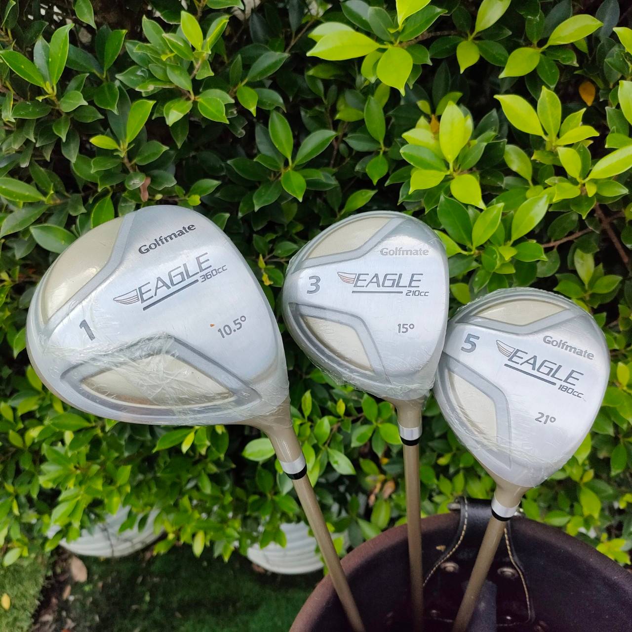 ไม้กอล์ฟครบชุด GOLF MATE EAGLE พร้อมออกรอบได้เลย สภาพนางฟ้า ไม้ยังอยู่ในซีนทั้งหมด แกะแค่พัตเตอร์ มีหัวไม้ครบ 1 3 5 ชุดเหล็ก 4-9 PW SW ตีง่าย น้ำหนักเบา มือใหม่ มือกลาง ต้องการไม้ครบชุด พลาดไม่ได้