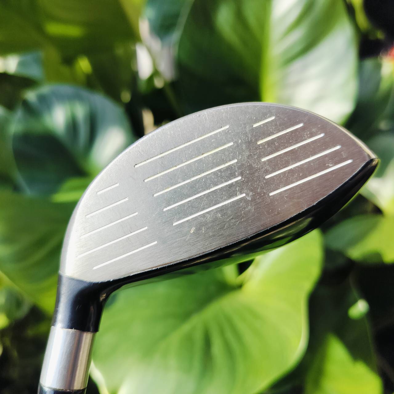 FW5 MARUMAN CONDUCTOR PRO องศา 18 ตีมันส์มาก เร่งสปีดได้ดี ลอยง่าย และตีโดนง่ายมากๆ เสียงเพราะมากๆค่ะ ก้าน CONDUCTOR PRO6 FLEX S ไม้กอล์ฟพรีเมี่ยมมือสอง ของแท้ By NakaraLuxurious