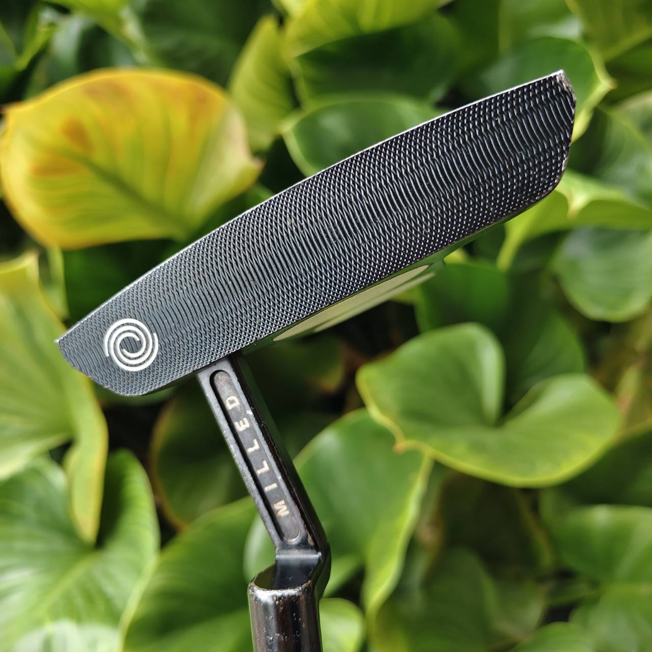 ODYSSEY BLACK SERIES TOUR DESIGNED 2-BALL BLADE หน้าไม้กลึง พร้อมชั้น Urethane สัมผัสที่ยอดเยี่ยม