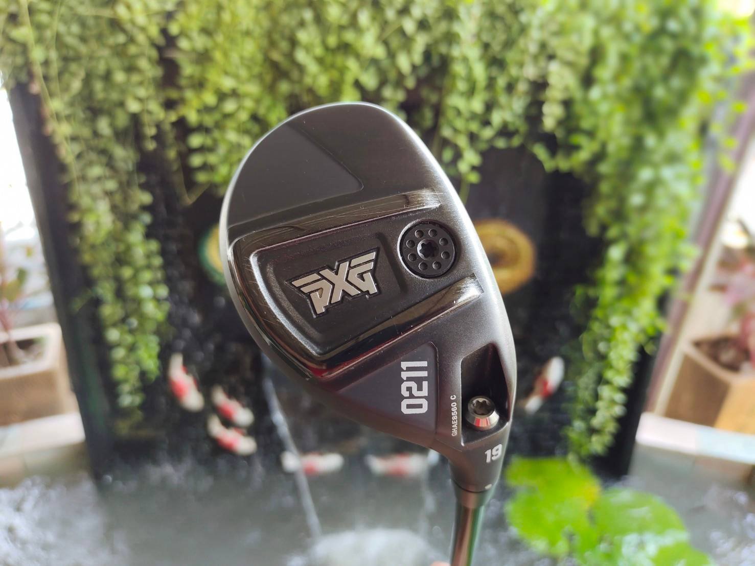 HYBRID PXG 0211 องศา 19